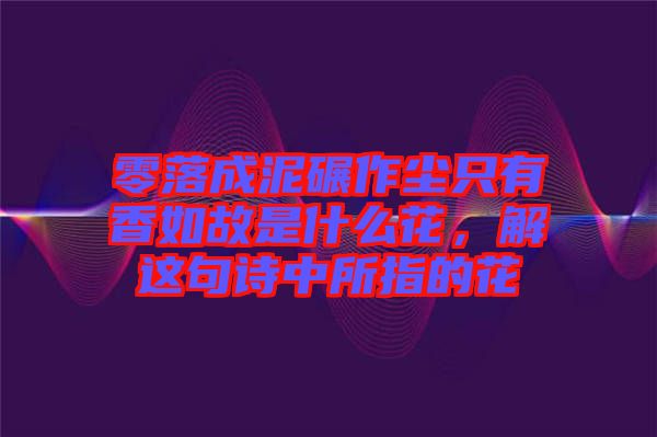 零落成泥碾作塵只有香如故是什么花，解這句詩中所指的花