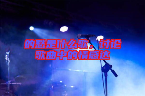 的愁是什么歌,討論歌曲中的情感達(dá)