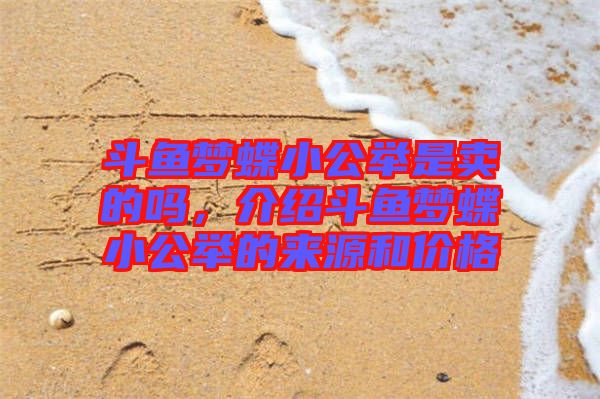 斗魚夢(mèng)蝶小公舉是賣的嗎,介紹斗魚夢(mèng)蝶小公舉的來源和價(jià)格