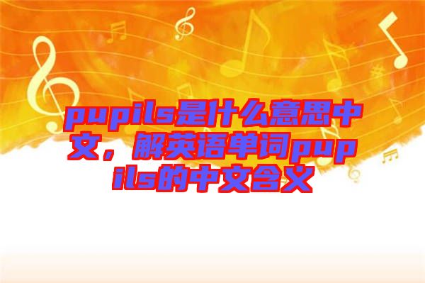 pupils是什么意思中文，解英語單詞pupils的中文含義