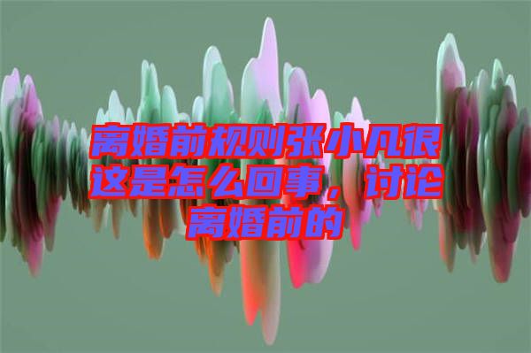 離婚前規則張小凡很這是怎么回事，討論離婚前的