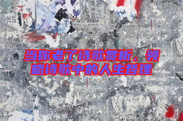 當你老了詩歌賞析,領略詩歌中的人生哲理