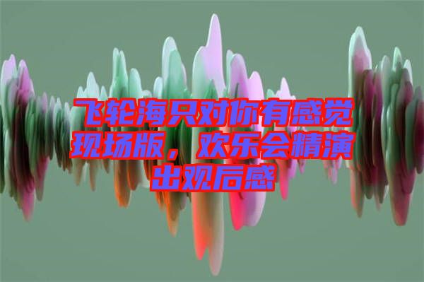 飛輪海只對你有感覺現場版,歡樂會精演出觀后感