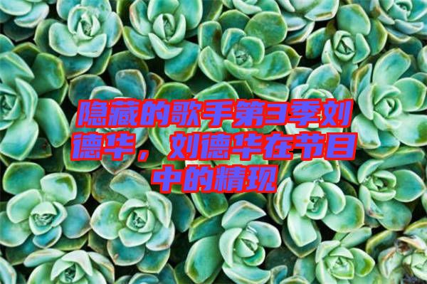隱藏的歌手第3季劉德華,劉德華在節目中的精現