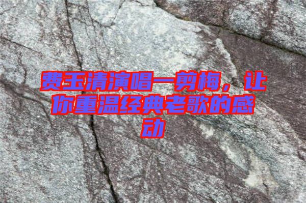費(fèi)玉清演唱一剪梅,讓你重溫經(jīng)典老歌的感動(dòng)