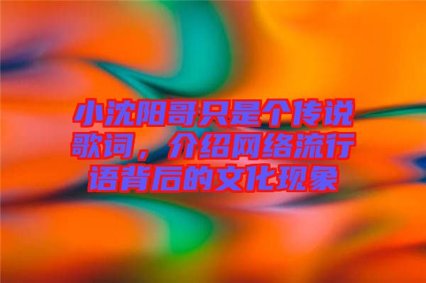 小沈陽(yáng)哥只是個(gè)傳說(shuō)歌詞,介紹網(wǎng)絡(luò)流行語(yǔ)背后的文化現(xiàn)象