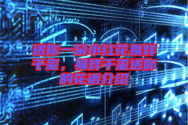 送你一朵小紅花易烊千璽,易烊千璽送你的花語(yǔ)介紹