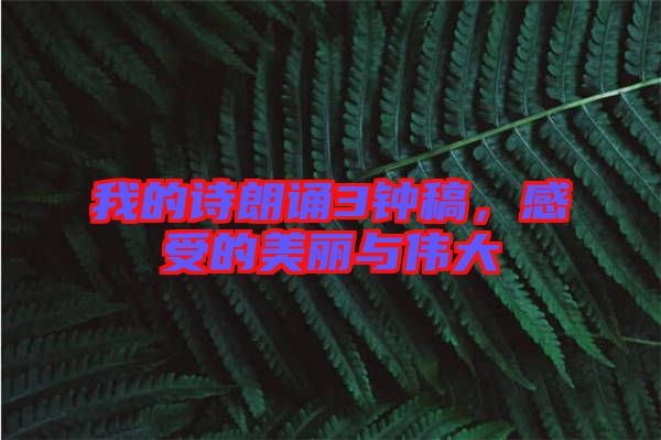 我的詩(shī)朗誦3鐘稿,感受的美麗與偉大
