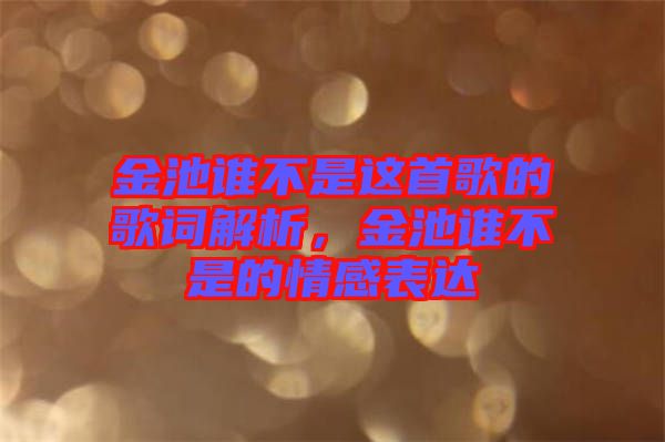 金池誰不是這首歌的歌詞解析,金池誰不是的情感表達