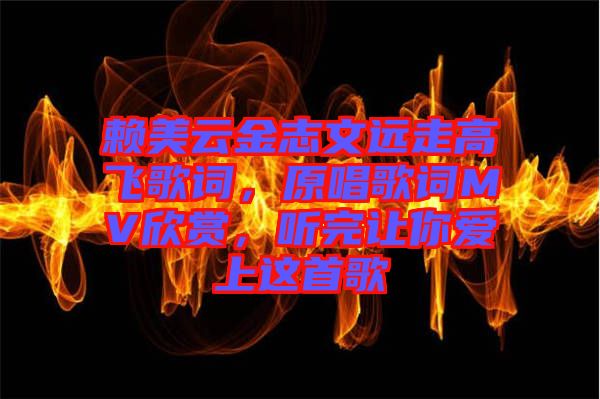 賴(lài)美云金志文遠(yuǎn)走高飛歌詞,原唱歌詞MV欣賞,聽(tīng)完讓你愛(ài)上這首歌