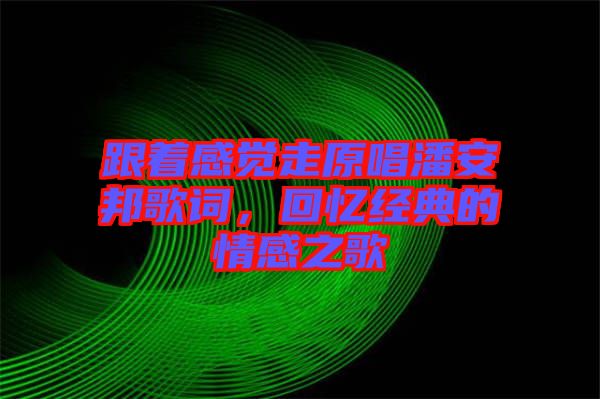 跟著感覺走原唱潘安邦歌詞,回憶經(jīng)典的情感之歌