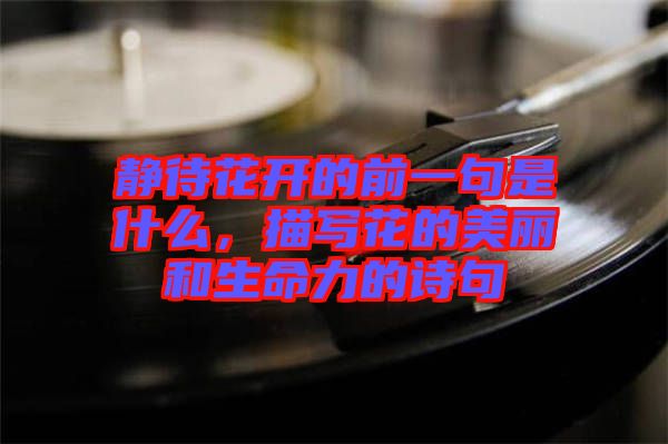 靜待花開(kāi)的前一句是什么,描寫(xiě)花的美麗和生命力的詩(shī)句