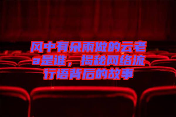 風(fēng)中有朵雨做的云老a是誰(shuí),揭秘網(wǎng)絡(luò)流行語(yǔ)背后的故事