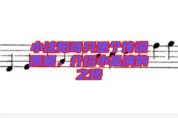 小沈陽哥只是個傳說原唱，介紹小品演的之路