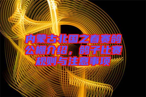 內(nèi)蒙古北國之春賽鴿公棚介紹,鴿子比賽規(guī)則與注意事項