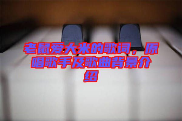老鼠愛(ài)大米的歌詞,原唱歌手及歌曲背景介紹