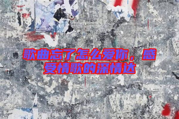 歌曲忘了怎么愛你，感受情歌的深情達