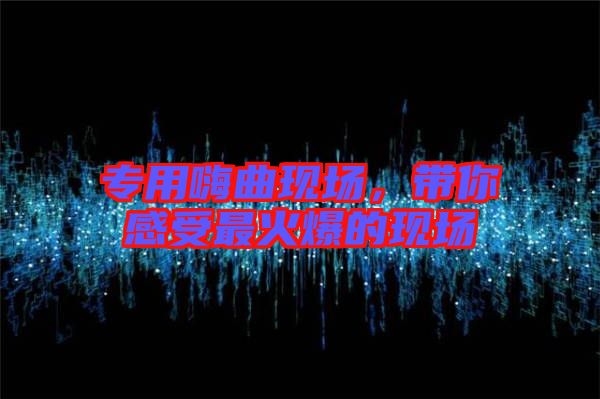 專用嗨曲現(xiàn)場(chǎng),帶你感受最火爆的現(xiàn)場(chǎng)
