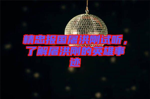 精忠報國屠洪剛試聽,了解屠洪剛的英雄事跡