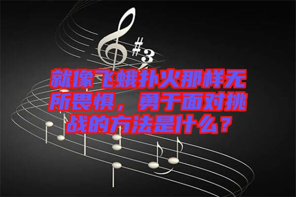 就像飛蛾撲火那樣無所畏懼，勇于面對挑戰的方法是什么？