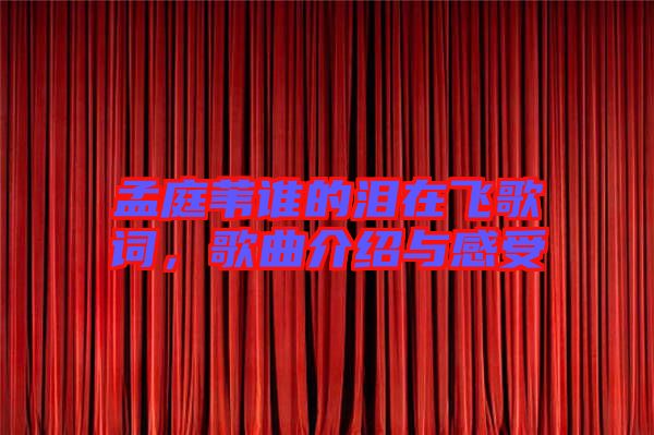 孟庭葦誰的淚在飛歌詞,歌曲介紹與感受