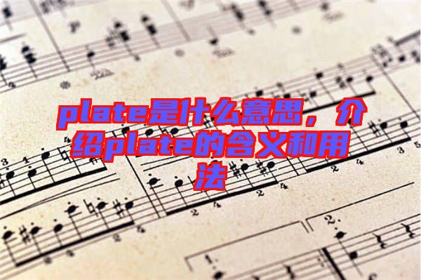 plate是什么意思，介紹plate的含義和用法