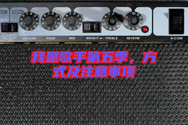 我是歌手第五季,方式及注意事項(xiàng)