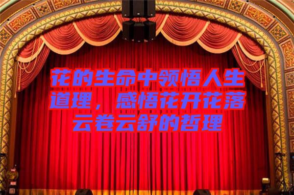花的生命中領悟人生道理，感悟花開花落云卷云舒的哲理