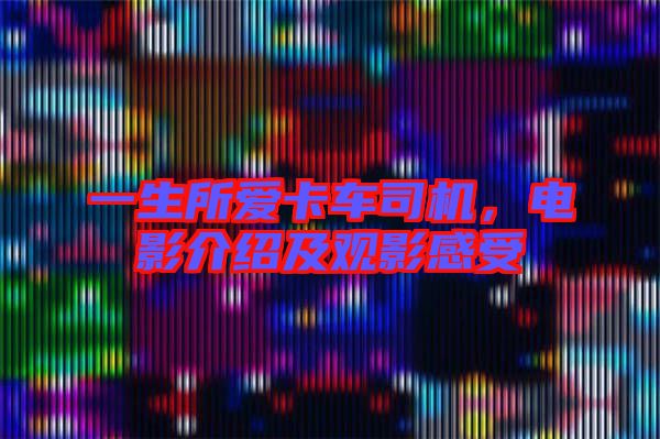一生所愛卡車司機,電影介紹及觀影感受