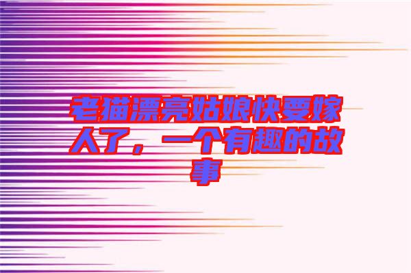 老貓漂亮姑娘快要嫁人了，一個有趣的故事