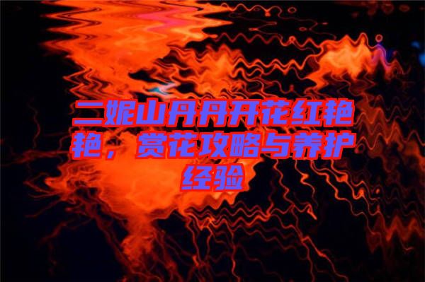 二妮山丹丹開花紅艷艷,賞花攻略與養護經驗