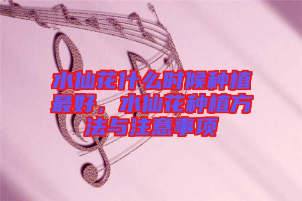 水仙花什么時(shí)候種植最好,水仙花種植方法與注意事項(xiàng)