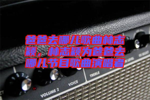 爸爸去哪兒歌曲林志穎，林志穎為爸爸去哪兒節目歌曲演唱者