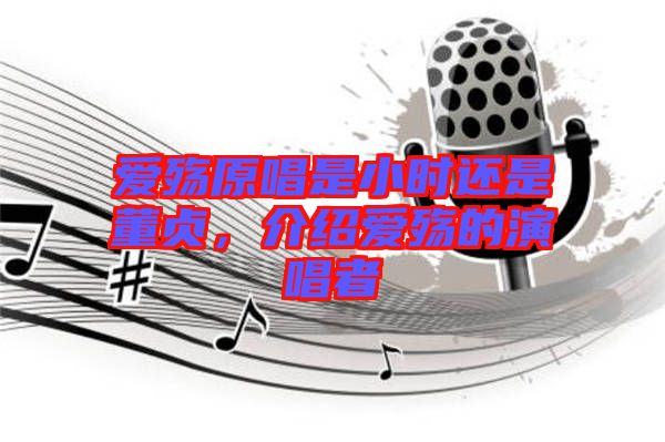 愛殤原唱是小時還是董貞，介紹愛殤的演唱者