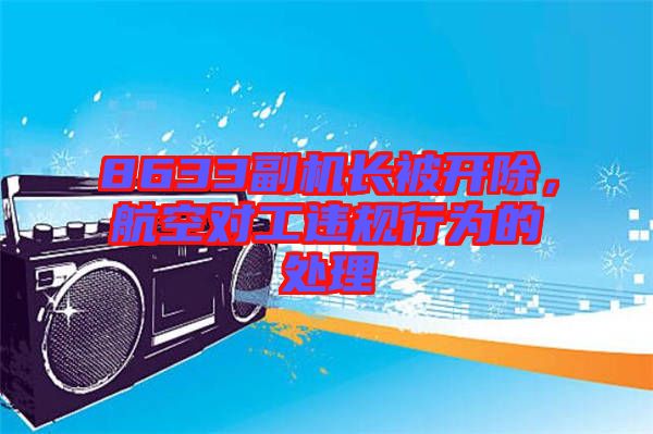 8633副機長被開除,航空對工違規(guī)行為的處理