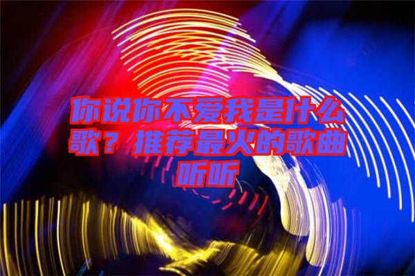 你說你不愛我是什么歌？推薦最火的歌曲聽聽