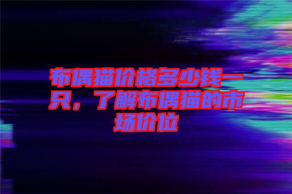 布偶貓價格多少錢一只,了解布偶貓的市場價位