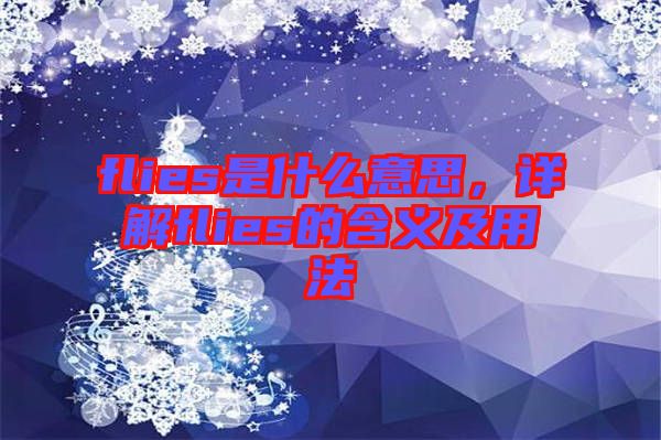 flies是什么意思，詳解flies的含義及用法