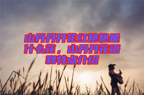 山丹丹開花紅艷艷是什么花，山丹丹花語和特點介紹