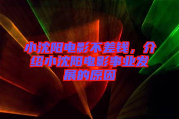小沈陽電影不差錢,介紹小沈陽電影事業發展的原因