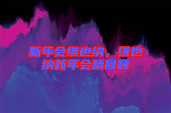 新年會(huì)維也納,維也納新年會(huì)精回顧