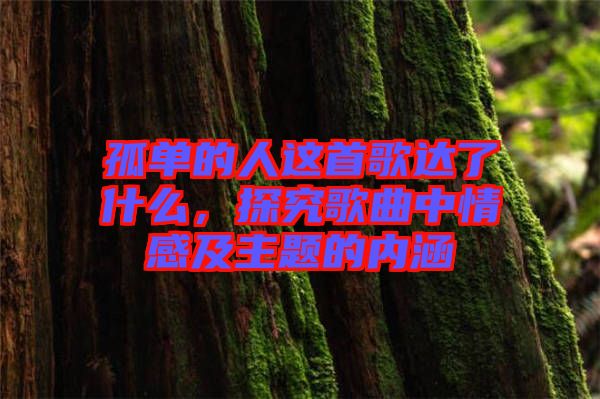 孤單的人這首歌達了什么,探究歌曲中情感及主題的內(nèi)涵