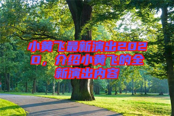 小黃飛最新演出2020,介紹小黃飛的全新演出內(nèi)容