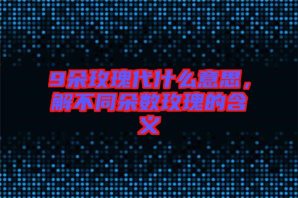 9朵玫瑰代什么意思,解不同朵數(shù)玫瑰的含義