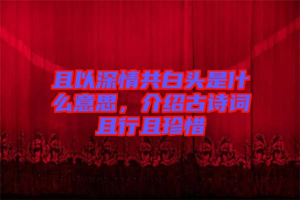 且以深情共白頭是什么意思，介紹古詩詞且行且珍惜