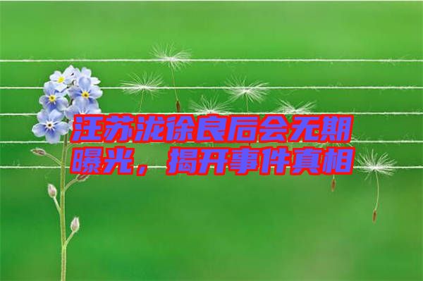 汪蘇瀧徐良后會(huì)無(wú)期曝光,揭開(kāi)事件真相