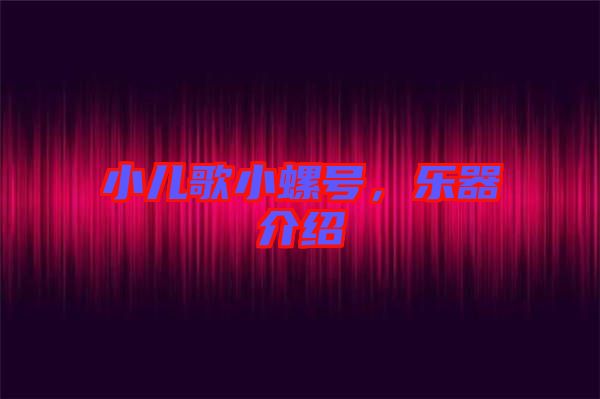 小兒歌小螺號(hào),樂器介紹