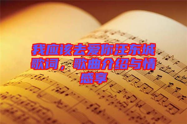 我應(yīng)該去愛你汪東城歌詞，歌曲介紹與情感享
