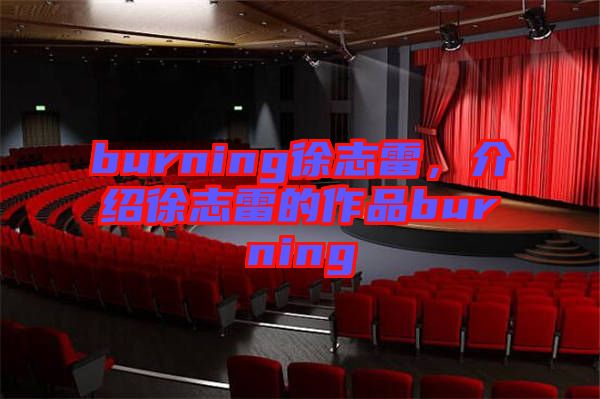 burning徐志雷,介紹徐志雷的作品burning