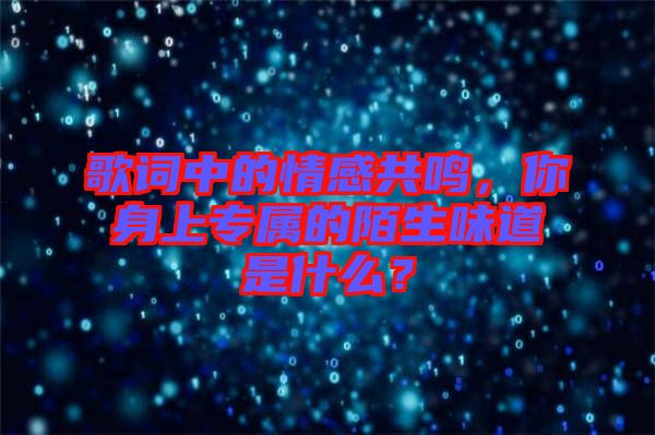 歌詞中的情感共鳴，你身上專屬的陌生味道是什么？
